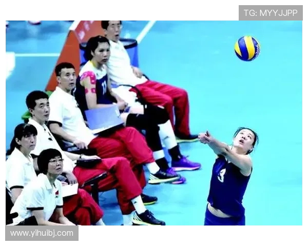 刘伟专访揭秘排球成功秘诀与未来发展方向