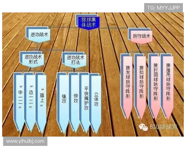 南京排球队灵活性展现出色战术调整与团队配合能力分析