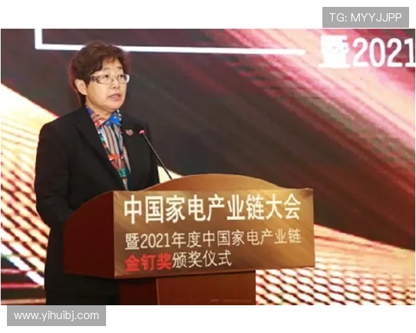 成都羽毛球队整体压制革新之路探索与发展全景分析